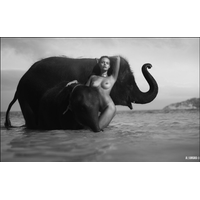 BONE ELEPHANT Â©_22-oNMinpTv8aVNF1g5FQTDFJFntws5CoWy.jpg